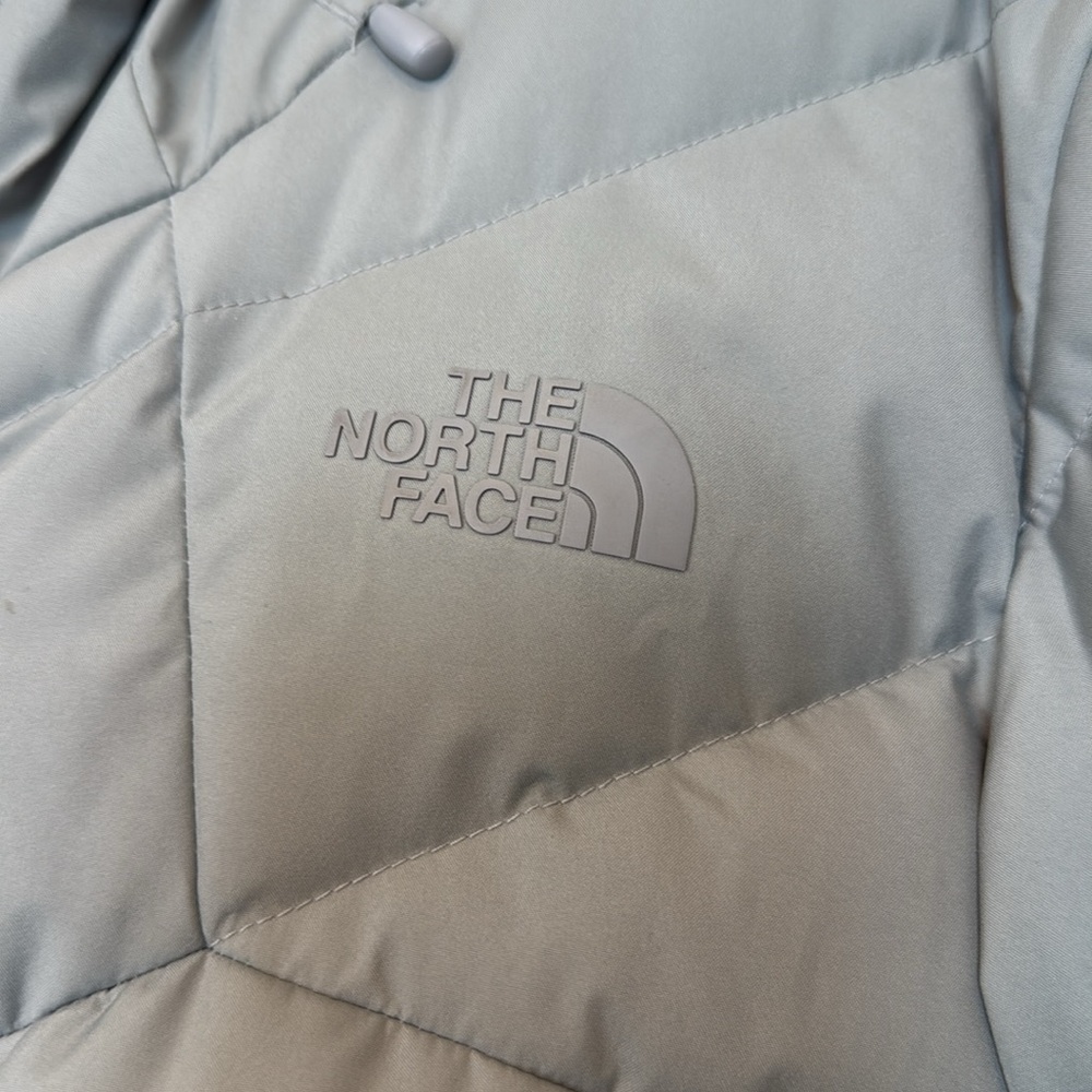 The North Face Hooded Goretex Infinium 550 Coat - Picture 2 of 11